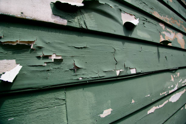 Best Residential Junk Removal  in Polson, MT